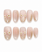 Champagne Daisy Dream
