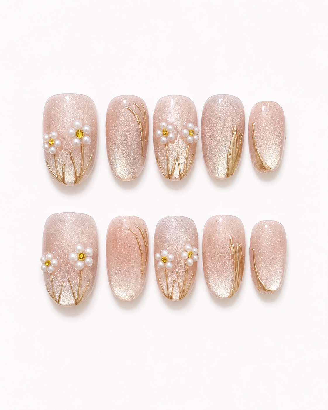 Champagne Daisy Dream